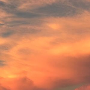 Meet your Posher, Sybil